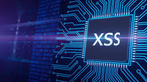 XSS Vulnerability Discovered on Online Grocery & Clothing Website | Security Report